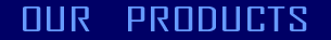 BULK SYSTEMS, INC.